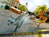 🐾 고양이 달리기 애완 동물 게임 어린이 경주 🐾 Screen Shot 4