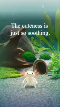 Axolotl Pet Screen Shot 2