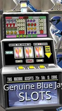 3D Genuine Blue Jay Slots Screen Shot 2