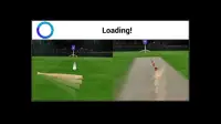 Demo for Baseball and Cricket Batting 3D SL and AI Screen Shot 0