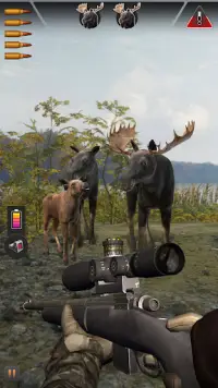 Wild Shooting Hunter： Sniper Range Screen Shot 4