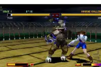 Pro Bloody Roar 4 Special Game Hint Screen Shot 2