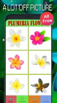 Plumeria Flowers Color By Number-Pixel Art 2020 Screen Shot 3
