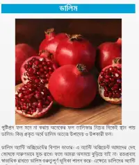 Fruits Benefit in Bangla Screen Shot 1
