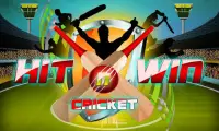 Hit N Win Cricket Screen Shot 0