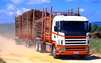 Long Cargo Truck Simulator Game: Transporter Truck Screen Shot 2