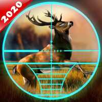 鹿狩り2021：アニマルハンター3Dゲーム