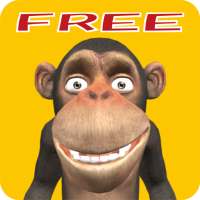 Monkey Bananas Free Trial