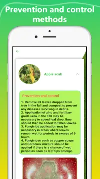 Plant Disease Identification app Screen Shot 4
