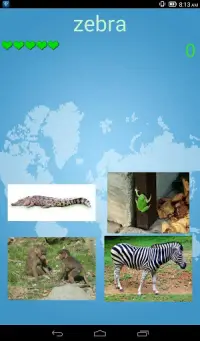 Animals Quiz & Infos Screen Shot 3