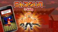 Shaolin Training - Dodge them all! Screen Shot 0