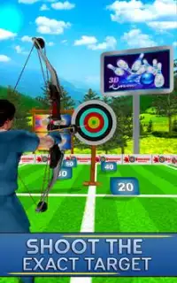 Archery Target Shooting Sim Screen Shot 2