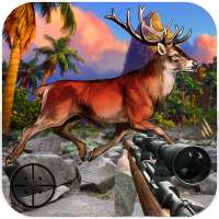 Deer Sniper Hunter: Wild Animal Hunting Game