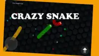 Crazy Snake - Slither Game Screen Shot 7