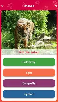 Mawe - Learning games for kids Screen Shot 3