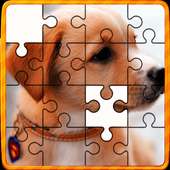 Animal Jigsaw Puzzles DayCare