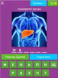 Викторина по Медицине Screen Shot 15