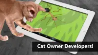 Cat Toys - AntHunt Cat Games Screen Shot 3