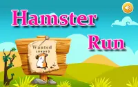 Hamster Run Screen Shot 0