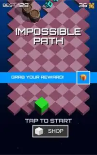 ImpossiblePath Screen Shot 1