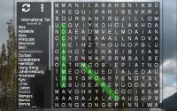 LDS Word Search Puzzle Screen Shot 2