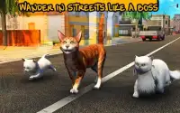 Street Cat Sim 2016 Screen Shot 6