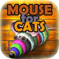 Mouse for Cats - Mysz dla kota