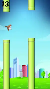 Birdie Screen Shot 2