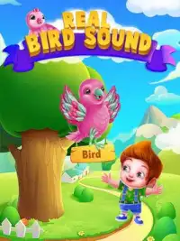 Birds Sounds And Memory Puzzle Screen Shot 0