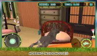 Pet Tavşan vs Köpek Saldırı 3D Screen Shot 8