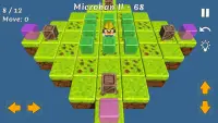 Push Box Microban - 3D Puzzle Game Screen Shot 0