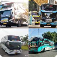 Bus Agam Tungga Jaya SHD