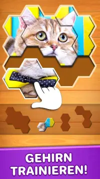 Puzzle Spiele (Deutsch) Screen Shot 0