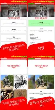 리뷰에 GOOGLE 프로필이 표시 퀴즈 🎃 한국의 👻 𝟚𝟘𝟚𝟘 👾 Screen Shot 10