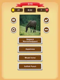 Paarden - Quiz Screen Shot 13