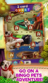 Bingo Pets Party: Dog Days Screen Shot 2