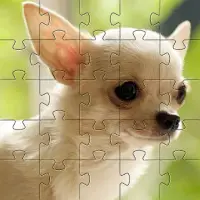 Chihuahua-Hundepuzzle-Spiele Screen Shot 1
