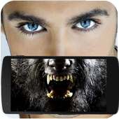 Werewolf Photo Editor