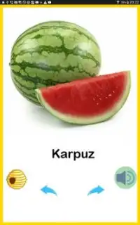 تعلم اللغة التركية بالصور Screen Shot 1