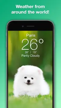 Weather Puppy - App & Widget Screen Shot 6