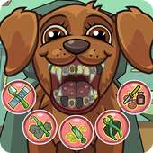 애완동물 미친 치과의사