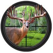 Deer Hunter Big Shot