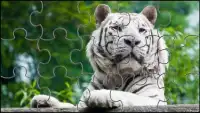 Biały Tygrys Puzzle Gry Screen Shot 7