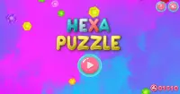 Hexa Puzzle Screen Shot 8