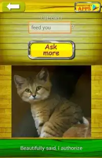 Zapytaj Cat 2 Tłumacz Screen Shot 2