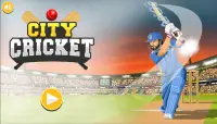 IPL Cricket Game, Cricket Games Screen Shot 0