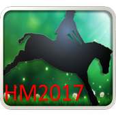 Horse Manager 2017