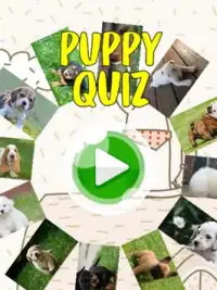 子犬のクイズ - 推測人気のある品種 Screen Shot 4