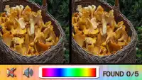 Find Difference mushroom Screen Shot 2