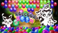 Raccoon Boom – Bubble Shooter Pop !! Screen Shot 0